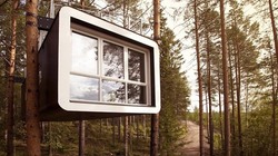 Treehouse_profile