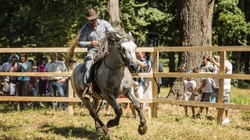 0124_oag_pierce-624x416_profile