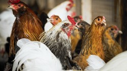 Open-uri20140730-2-1a7zz7n_profile