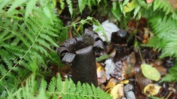 Open-uri20140921-2-1x3eyka_profile