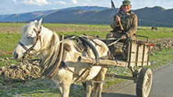 Open-uri20141107-2-1e4pd5f_profile