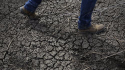 Open-uri20160426-3-orz8x_profile