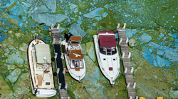 Open-uri20170511-4-1totepz_profile