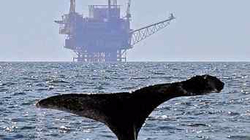 Open-uri20170517-4-av9q3q_profile